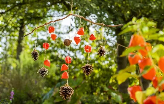 Ein herbstliches Windspiel aus Physalis und Tannenzapfen